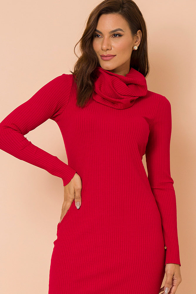 Long Sleeve Ribbed Knit Dress – Edna